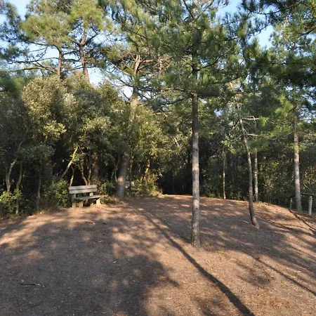 Apartamento 3 Avec Grand Balcon Et Garage Proche Du Casino - Fr-1-323-260