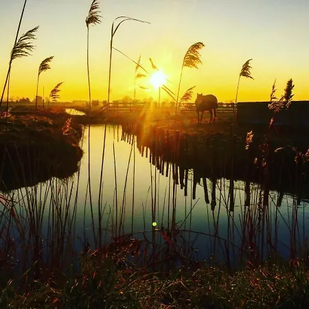 Apartamento 3 Avec Grand Balcon Et Garage Proche Du Casino - Fr-1-323-260 Saint-Jean-de-Monts