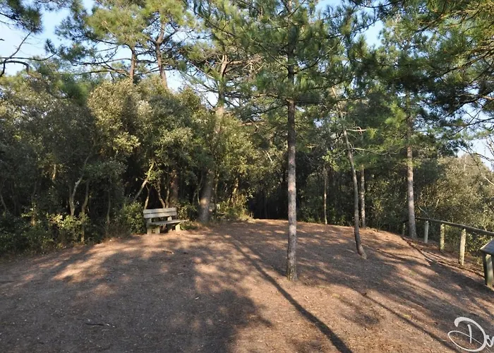 아파트 3 Avec Grand Balcon Et Garage Proche Du Casino - Fr-1-323-260