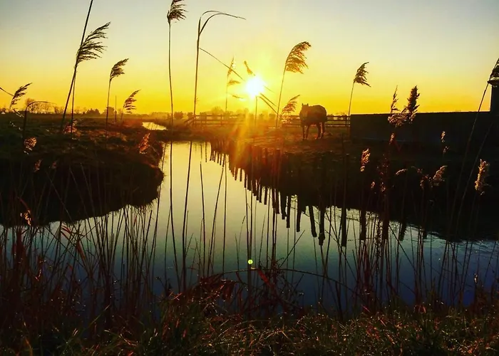 아파트 3 Avec Grand Balcon Et Garage Proche Du Casino - Fr-1-323-260 생장드몽